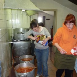 Koala 084 - Scouts en Gidsen Zaventem 